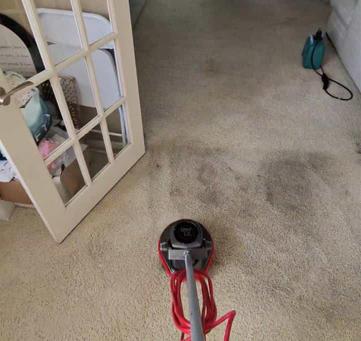 Carpet before professional cleaning