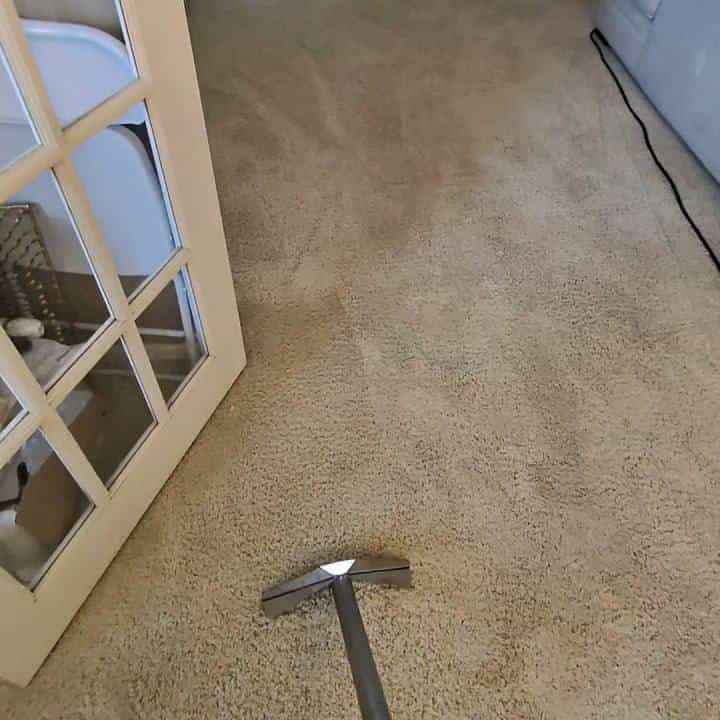Carpet after professional cleaning