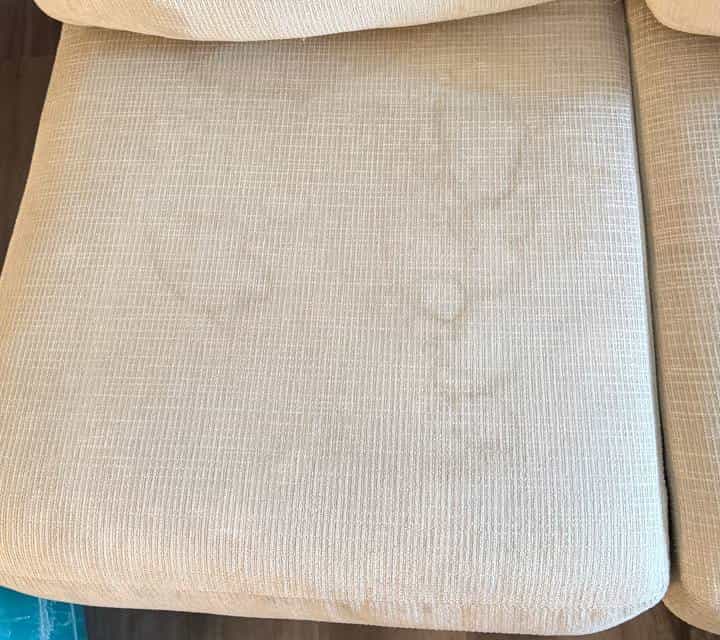 Pet-stained surface before professional treatment