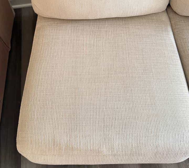 Surface after professional pet stain and odor treatment